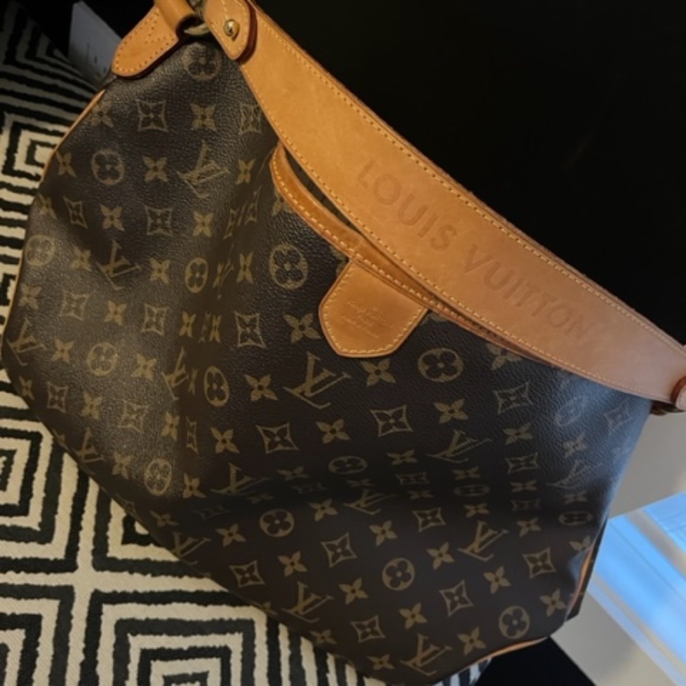 Louis Vuitton Delightful PM Bag